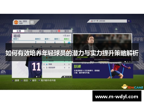 如何有效培养年轻球员的潜力与实力提升策略解析