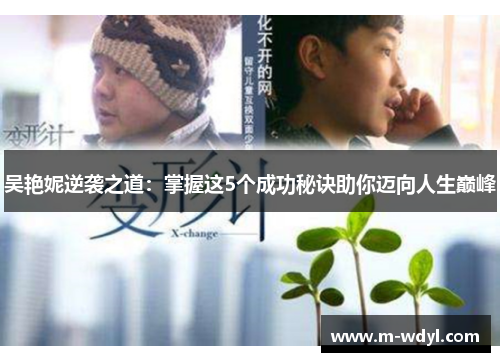 吴艳妮逆袭之道:掌握这5个成功秘诀助你迈向人生巅峰 吴艳妮逆袭之道:掌握这5个成功秘诀助你迈向人生巅峰