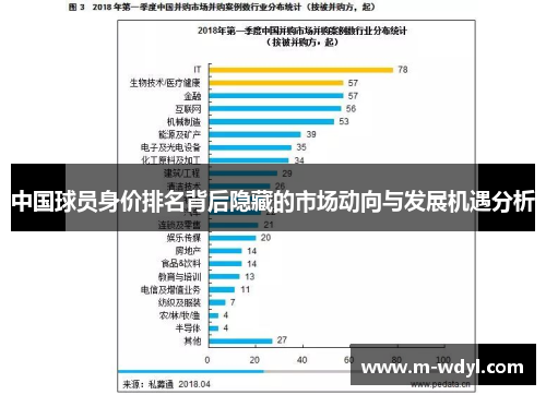 中国球员身价排名背后隐藏的市场动向与发展机遇分析 中国球员身价排名背后隐藏的市场动向与发展机遇分析