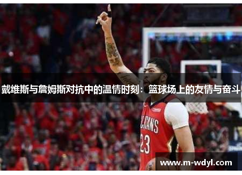 戴维斯与詹姆斯对抗中的温情时刻：篮球场上的友情与奋斗
