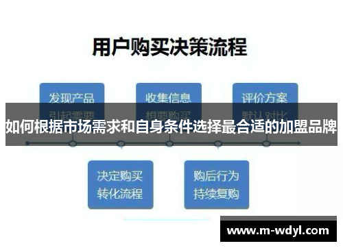 如何根据市场需求和自身条件选择最合适的加盟品牌