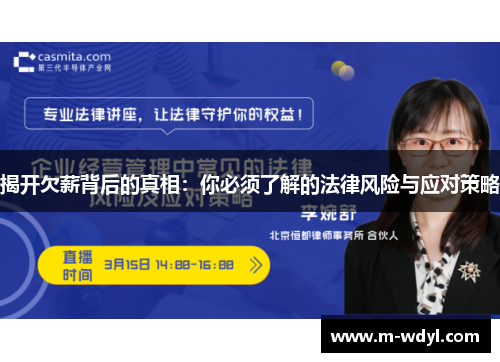揭开欠薪背后的真相：你必须了解的法律风险与应对策略