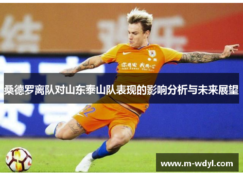 桑德罗离队对山东泰山队表现的影响分析与未来展望