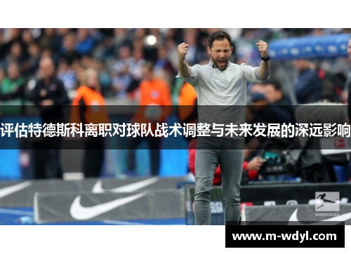 评估特德斯科离职对球队战术调整与未来发展的深远影响