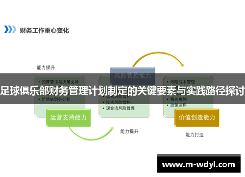 足球俱乐部财务管理计划制定的关键要素与实践路径探讨
