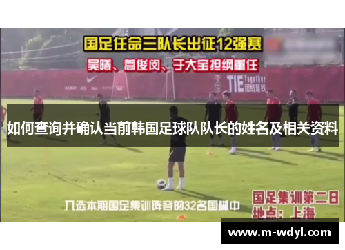 如何查询并确认当前韩国足球队队长的姓名及相关资料