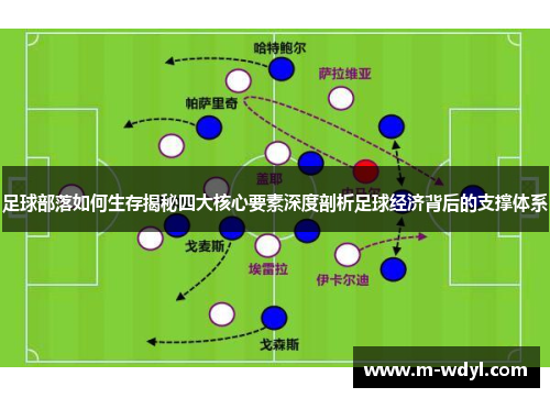 足球部落如何生存揭秘四大核心要素深度剖析足球经济背后的支撑体系 足球部落如何生存揭秘四大核心要素深度剖析足球经济背后的支撑体系