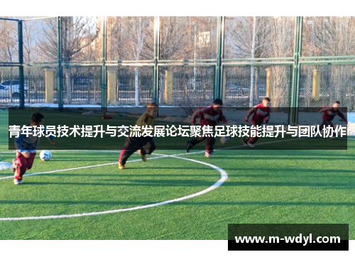 青年球员技术提升与交流发展论坛聚焦足球技能提升与团队协作