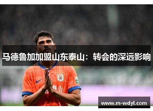 马德鲁加加盟山东泰山：转会的深远影响