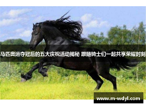 马匹奥运夺冠后的五大庆祝活动揭秘 跟随骑士们一起共享荣耀时刻