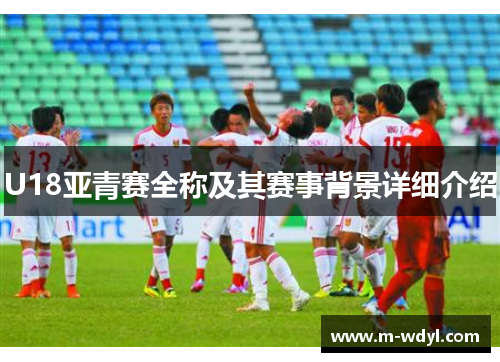 U18亚青赛全称及其赛事背景详细介绍