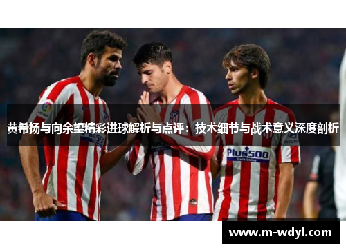 黄希扬与向余望精彩进球解析与点评：技术细节与战术意义深度剖析