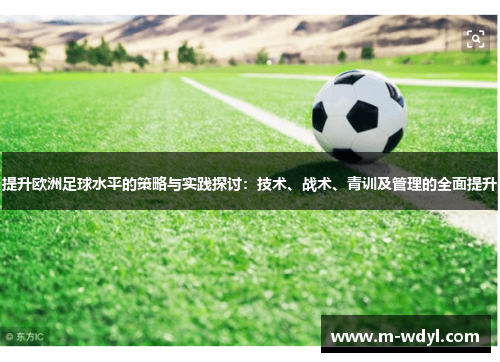 提升欧洲足球水平的策略与实践探讨：技术、战术、青训及管理的全面提升