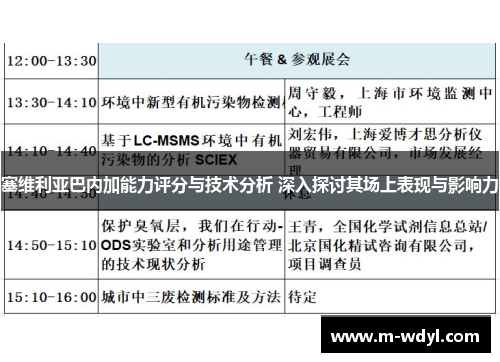 塞维利亚巴内加能力评分与技术分析 深入探讨其场上表现与影响力