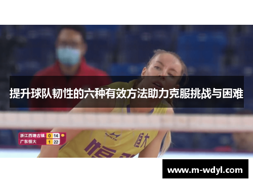 提升球队韧性的六种有效方法助力克服挑战与困难