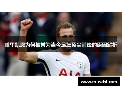 哈里凯恩为何被誉为当今足坛顶尖前锋的原因解析