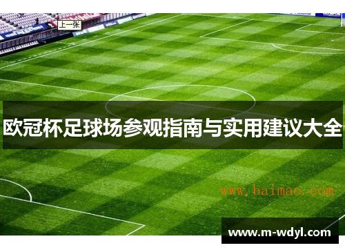 欧冠杯足球场参观指南与实用建议大全 欧冠杯足球场参观指南与实用建议大全