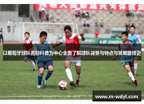 以葡萄牙球队名称科普为中心全面了解球队背景与特点与发展脉络史